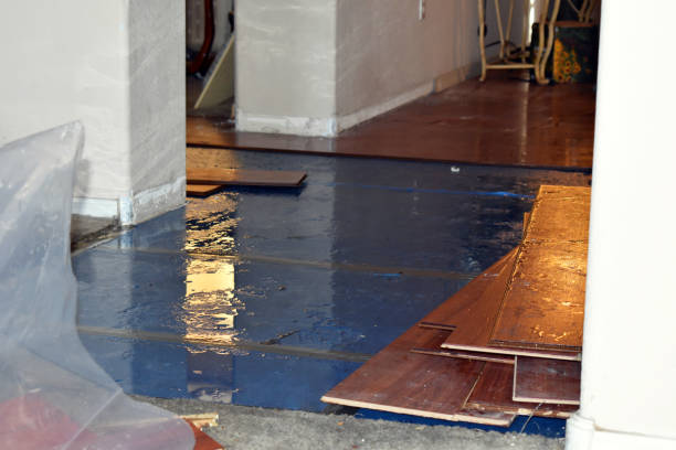 Professional Storm Water Damage Restoration technician working in The Plains, OH